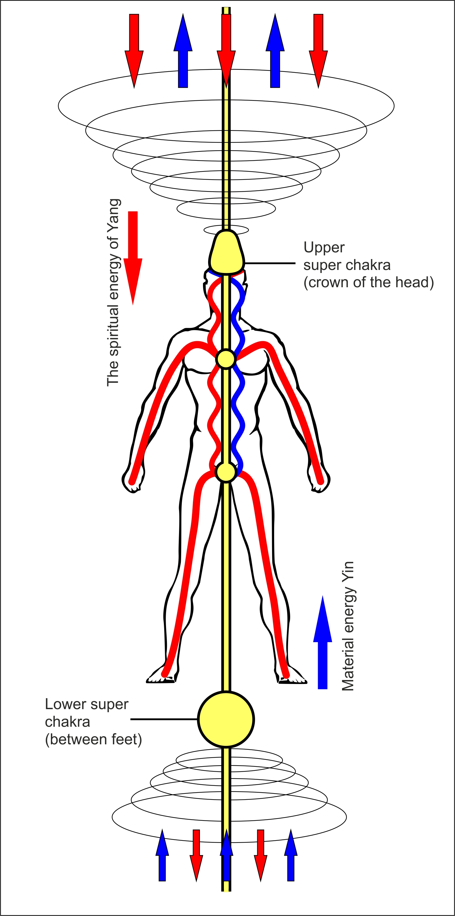 Потоки через тело. Энергетические потоки в теле человека схема. Энергетические каналы человека (меридианы). Энергетические каналы человека схема.