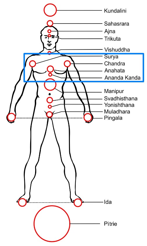 Chakras of a person – the heart chakra: the opening of chakras